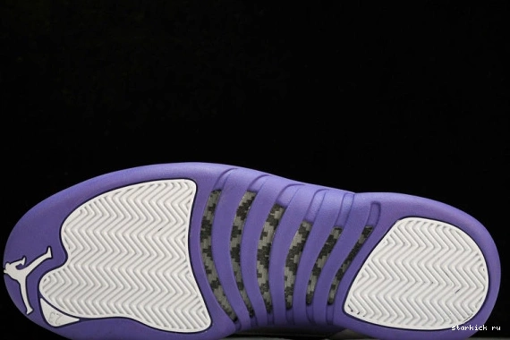 CT8013-150 CT8013-150 Jordan Retro 12 Purple 0111